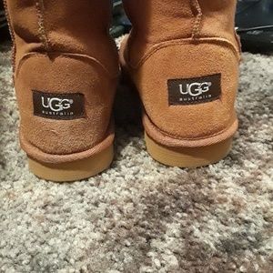 Uggs Boots